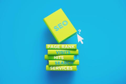 Professional SEO Services logo