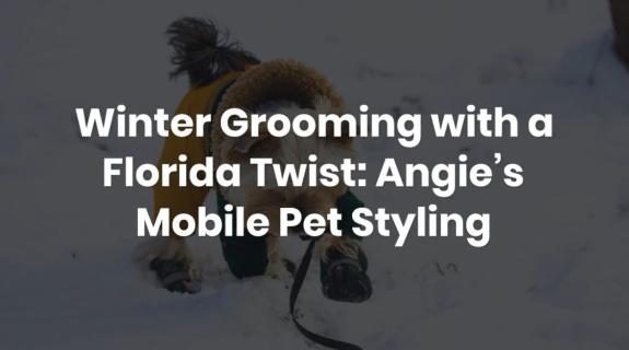 Winter Grooming with a Florida Twist: Angie’s Mobile Pet Styling logo