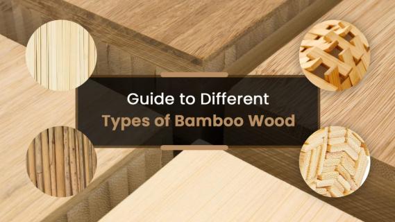 Bamboo Wood Types logo