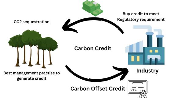 Singapore Carbon Credit Is Latest Trends And Exploring Future Growth logo