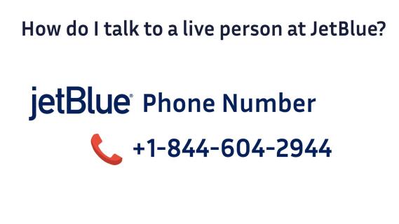 How do I talk to real person at JetBlue? logo