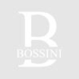 Bossini Usa logo