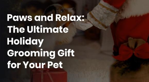 Paws and Relax: The Ultimate Holiday Grooming Gift for Your Pet logo