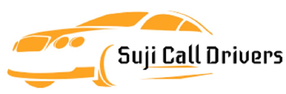 Call Drivers in Medavakkam logo