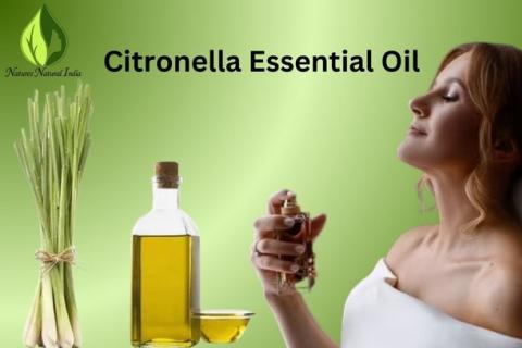 Discover the Best Sources for Purchase Pure Citronella Essential Oil logo