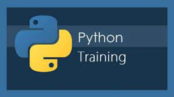 Need of Python in future logo