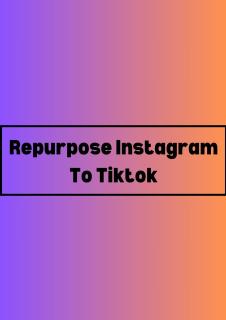 Seamless Transformation: Convert Instagram to TikTok Using AI Tools logo