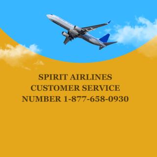 How Do I Talk to Someone on Spirit Airlines? logo