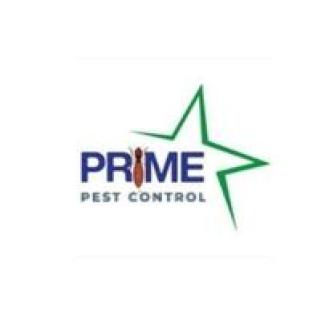 Pest Control in Kolkata logo