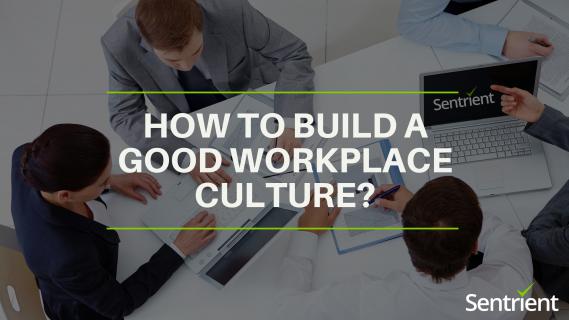 How to Create a Good Work Culture - Sentrient logo