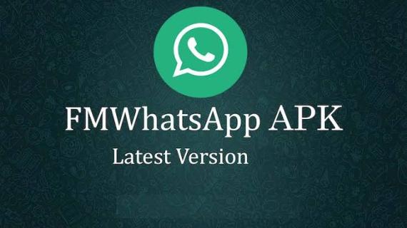 FM WhatsApp APK Download Free (Official) Latest Version logo