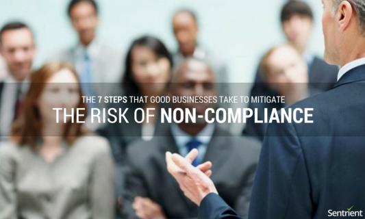 7 Steps That Good Businesses Take to Mitigate the Risk of Non-Compliance | Sentrient logo