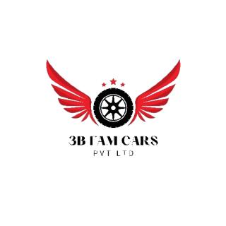 city car decoration logo