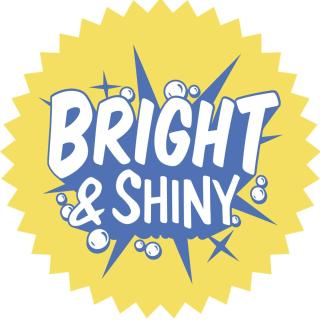 Bright And Shiny Window Cleaning logo