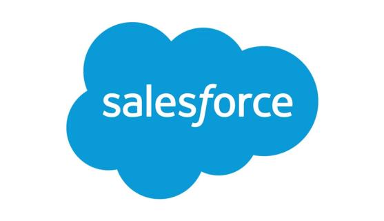 Salesforce Online Training From Hyderabad India logo