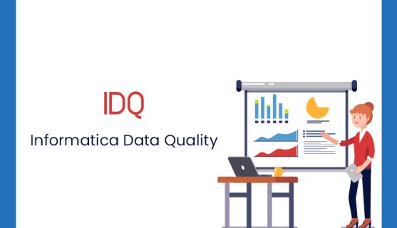 Informatica Data Quality Online Training Course Free with Certificate logo