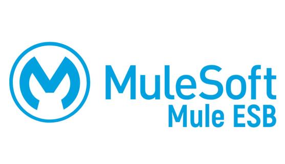 Mulesoft Online Training by real-time Trainer in India logo