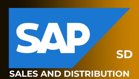 SAP SD Online Training Realtime support from Hyderabad logo