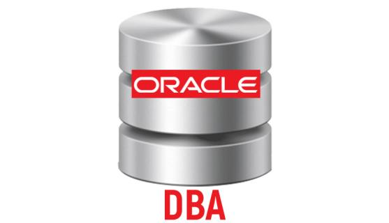 Oracle DBA Professional Certification & Training From India logo