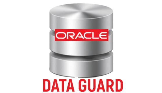 Oracle Data Guard Online Training Course Free with Certificate logo