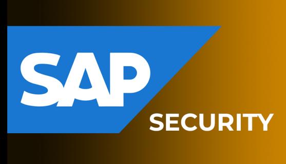 SAP Security Online Training Realtime support from India logo