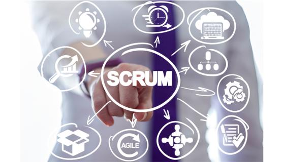 Scrum Master Online Training by real-time Trainer in India logo