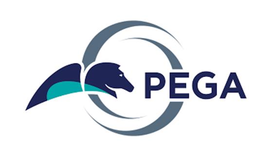 PEGA Online Training & Certification From India logo