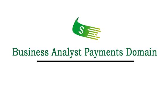 Business Analyst Payment Domain Professional Certification & Training From India logo