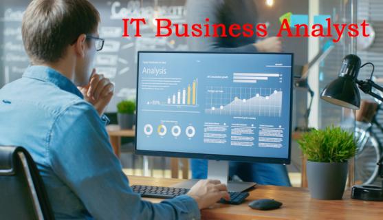 IT Business Analyst Online Training Institute From Hyderabad India logo