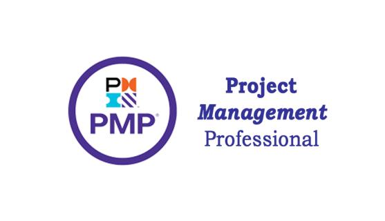 PMP Online Coaching Classes In India, Hyderabad logo