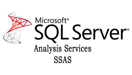 SSAS Online Certification Training Course logo