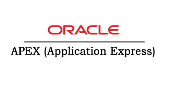 Oracle Apex Course Online Training Classes from India ... logo