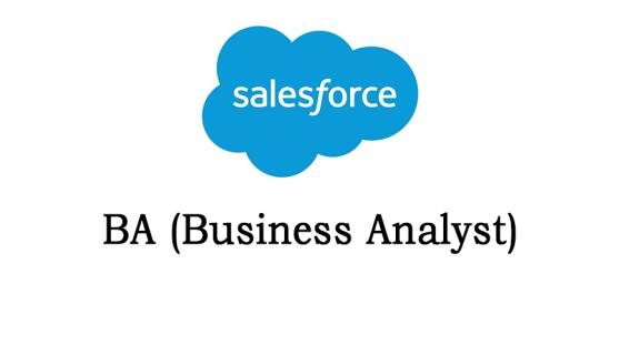 Best Salesforce BA Online Training Institute in Hyderabad .. logo