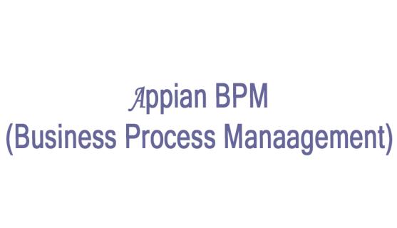 Appian BPM Online Training From Hyderabad India logo