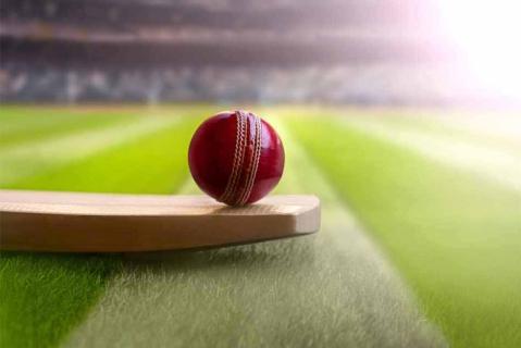 Gully Bet: Your Premier Cricket Betting Destination. logo