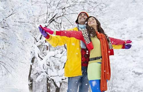 Shimla Kullu Manali honeymoon package logo