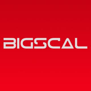 Bigscal Technology PVT LTD. logo