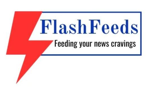 FlashFeeds-Feedingyournews logo