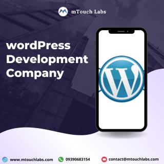 WordPress Web Development Services in Hyderabad logo