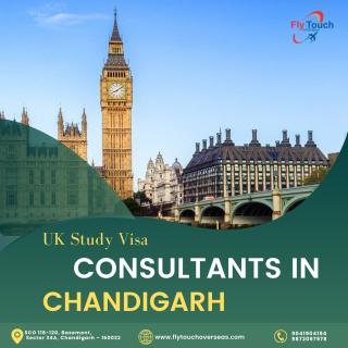 Immigration Consultants in Chandigarh logo