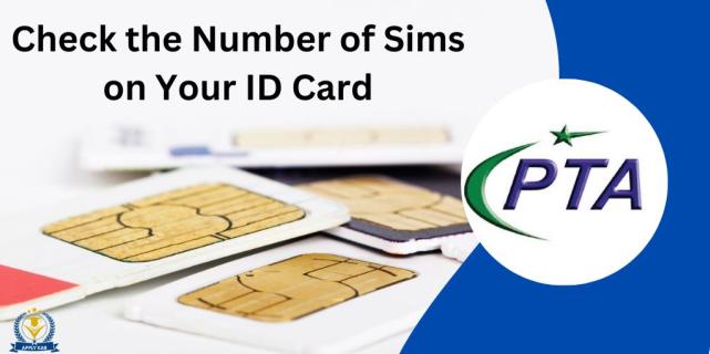 How to Check Number of Sims on ID Card Online [Sim Information] logo