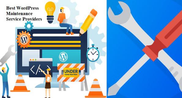 15+ Best WordPress Maintenance Service Providers for 2020 logo