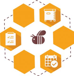 Beekeeping app logo