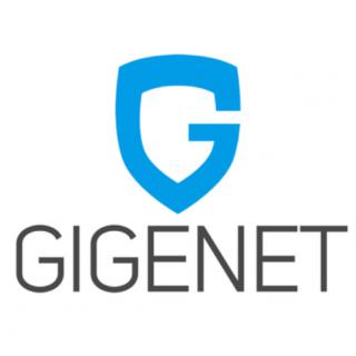 GigeNet - Managed server hosting & colocation logo