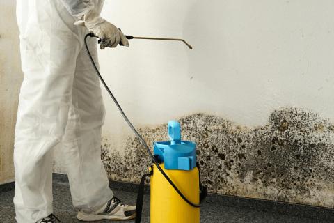 Mold Remediation and Wood Repair logo