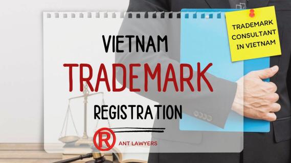 How to Easily Register Trademark in Vietnam: A Comprehensive Guide logo