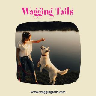 Wagging Tails logo