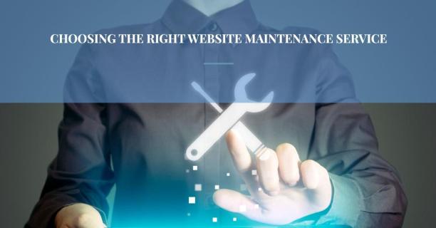 Website Maintenance Service Provider logo