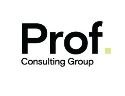 PROF CONSULTING GROUP logo