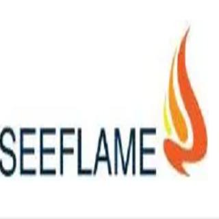 See Flame Gas logo